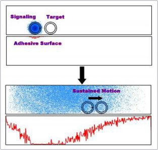 New benefit of chemical signaling
