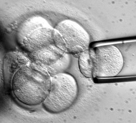 New breakthrough helps infertile women have children
