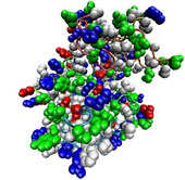 New breakthrough helps prevent the development of cancer