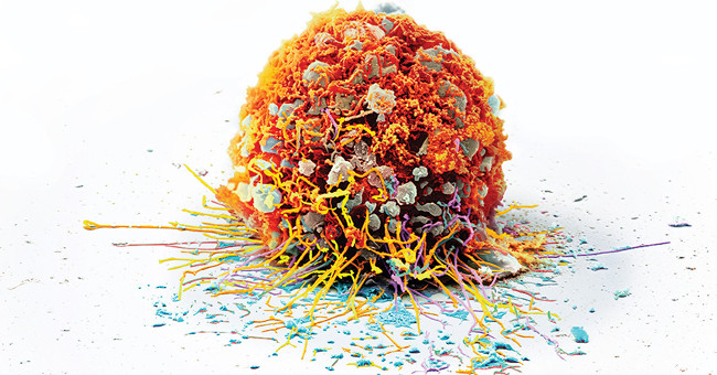 New breakthrough in immunotherapy for immunotherapy