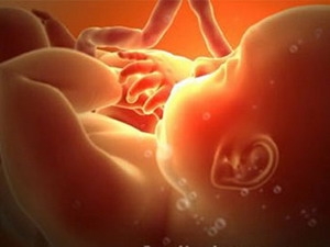 New breakthrough in IVF method