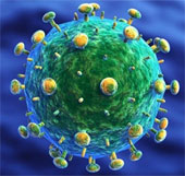 New developments in HIV treatment research