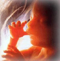 New device detects genetic defects in the fetus