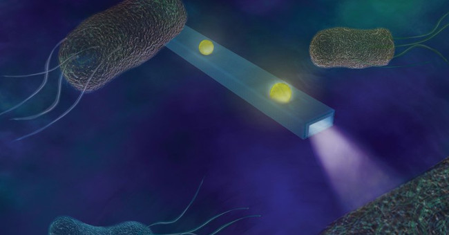 New devices help listen to the sound of each cell