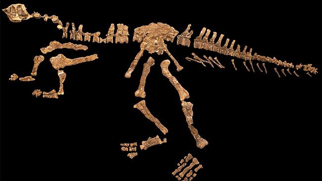 New dinosaurs have tiny arms