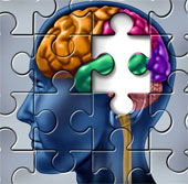 New discoveries about human intelligence