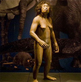 New discoveries about