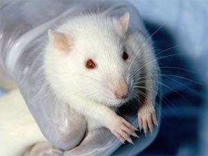 New discovery about drug addiction