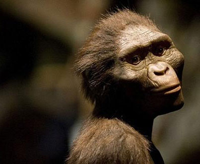 New discovery about prehistoric people