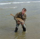 New discovery about sea scorpions
