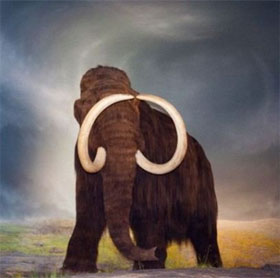 New discovery about the cause of mammoth extinction