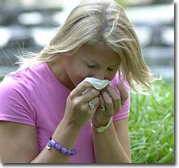 New discovery about the immune system