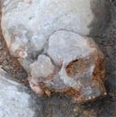 New discovery about the origin of modern Europeans