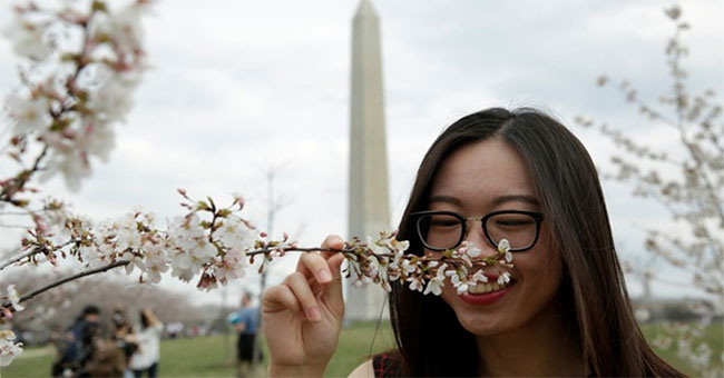 New discovery about 'virtual smell'