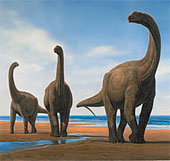 New discovery: Dinosaurs also have a mechanism to replace teeth