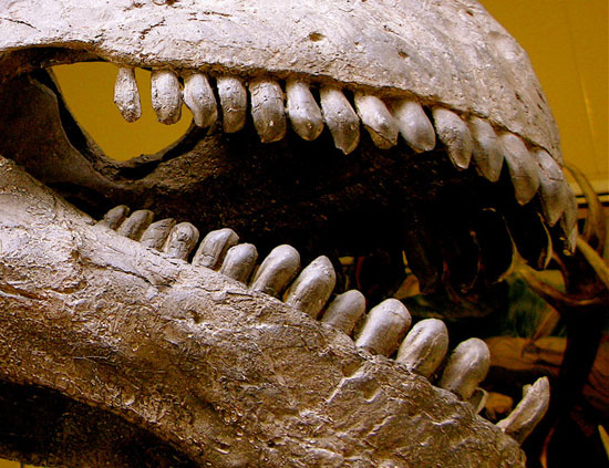 New discovery: Dinosaurs are not cold-blooded!