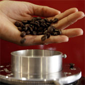 New discovery of analgesic in coffee