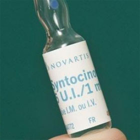 New discovery of hormones stimulating love