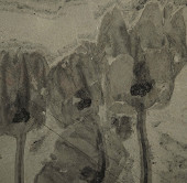 New discovery of the body of ancient creatures with tentacles