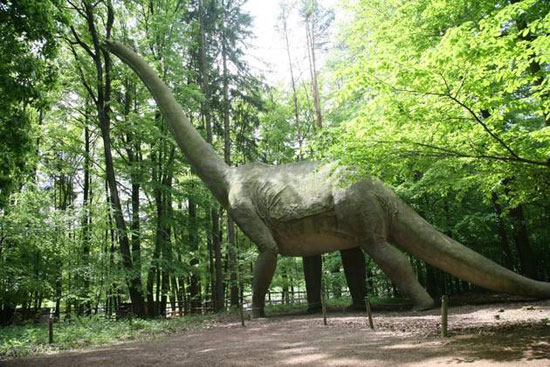 New discovery of the extinction of dinosaurs