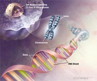 New DNA map helps fight harmful genes