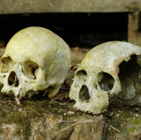 New DNA technology decodes mysterious deaths