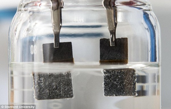 New energy sources replace gasoline from water and rabbit batteries