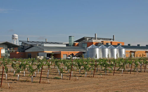 New era in the study of food and beverage processing