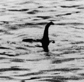 New evidence of Loch Ness monster monster?
