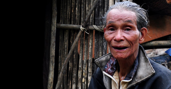 'New forest' 20 years living alone in the deep forest