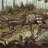 New fossil carnivorous dinosaurs discovered in South America