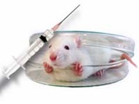 New generation vaccines help fight addiction
