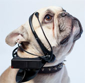 New headset lets you chat with people