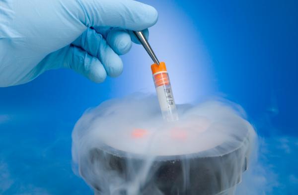 New hope for cancer patients and endangered species