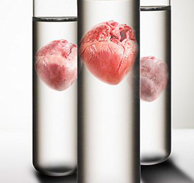 New hope for heart patients