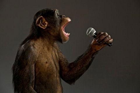 New hypothesis about human language