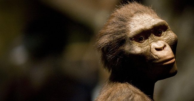 New hypothesis for the question: Why do humans exist?