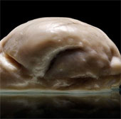 New images of the