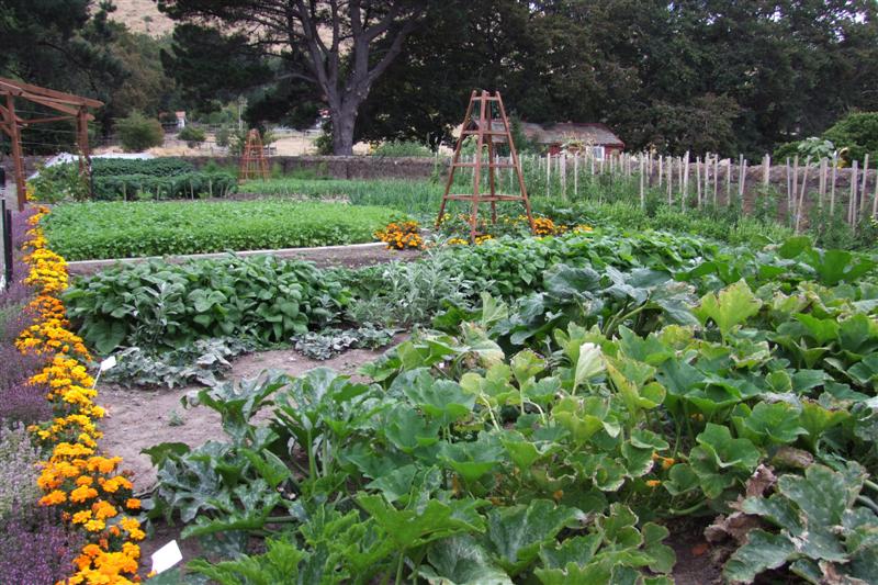 New information technology helps to bring in bumper crops