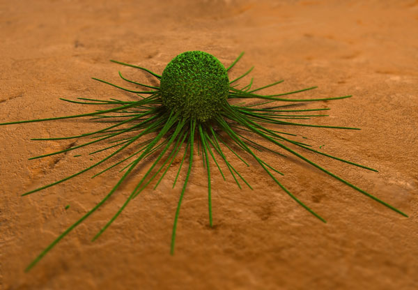 New injection for cancer treatment