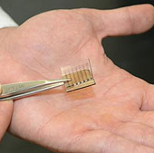 New invention: Solar cells are made entirely of carbon