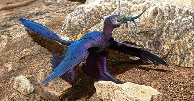 New lizard species in the fossil 4-wing dinosaur stomach 125 million years
