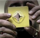 New material from natural substitute plastics