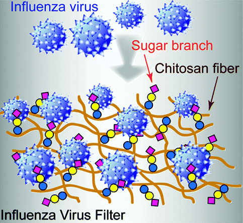 New materials 'catch' flu viruses