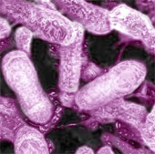 New method of treating cancer, gout, blood pressure