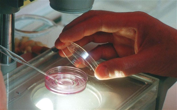 New method of treating infertility for women