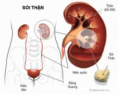New method to diagnose membrane glomerular disease