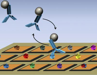 New microchip biosensors promote the development of therapeutic drugs