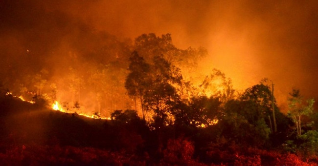 New news of the biggest fire in Soc Son and Hanoi forests