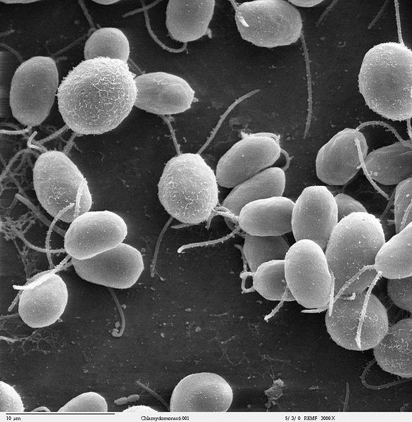 New opportunities in making hydrogen